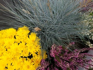 IMG 20161025 111547 mini