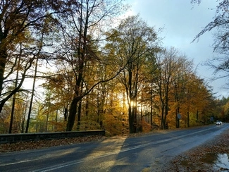 IMG 20161030 155504 HDR mini