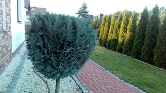 IMG 20161127 144359 mini