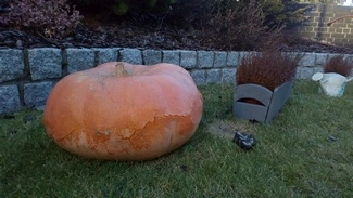 IMG 20161127 144419 mini