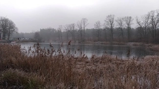 P 20161204 105817 vHDR Auto mini