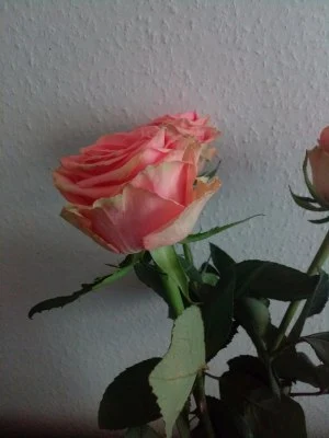 IMG 20160131 230033 min