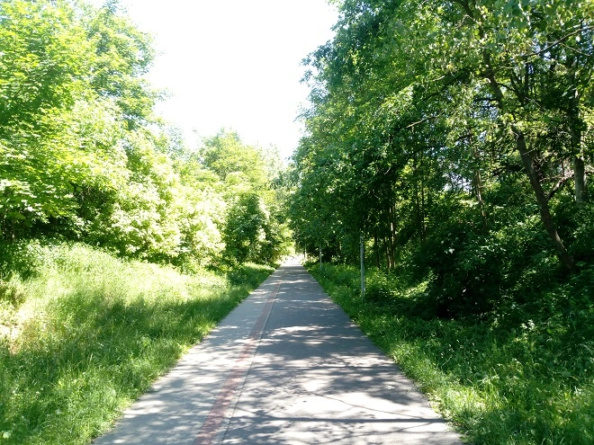 Hammer Axe Pro przykładowa fotografia