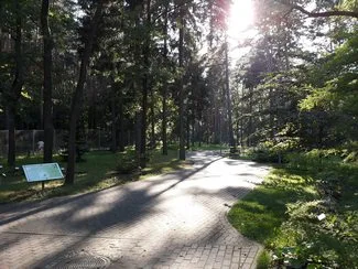 20170803 175414 mini