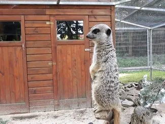 20170803 181822 mini