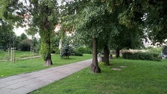 IMG 20170818 170719 mini