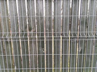 IMG 20180216 155403 mini