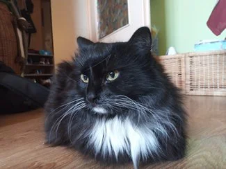 IMG 20180219 095337 mini