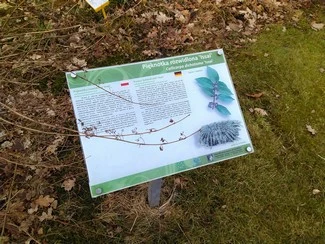 IMG 20180217 130147 mini