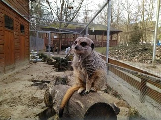 IMG 20180217 130601 mini