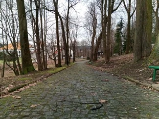 IMG 20180311 135645 mini