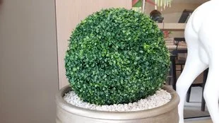 20150505 125802 mini