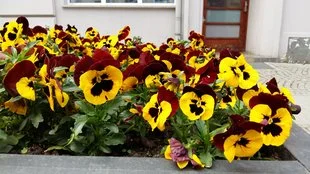 20150505 131544 mini