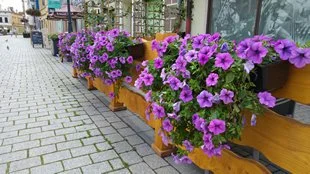 20150805 113157 mini