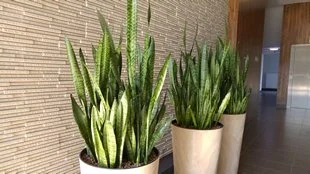 20150806 093243 mini