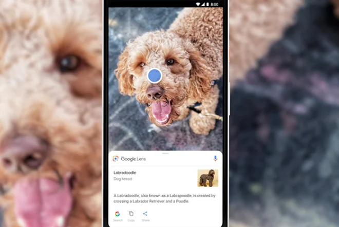 Łatwiejsze wyszukiwanie obiektów znajdujących się na zdjęciach dzięki nowości w Grafika Google