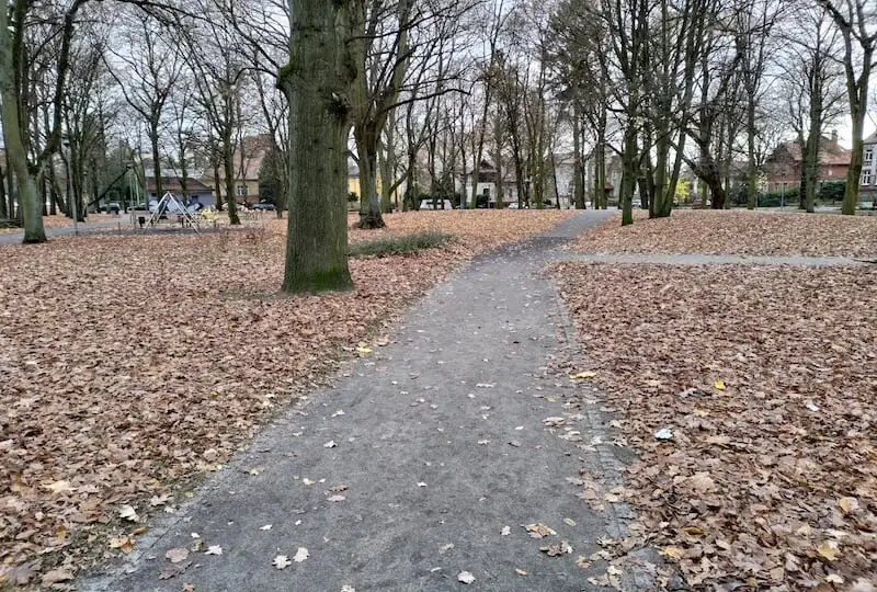 Test i porównanie ASUS ZenFone 8 i ZenFone 8 Flip