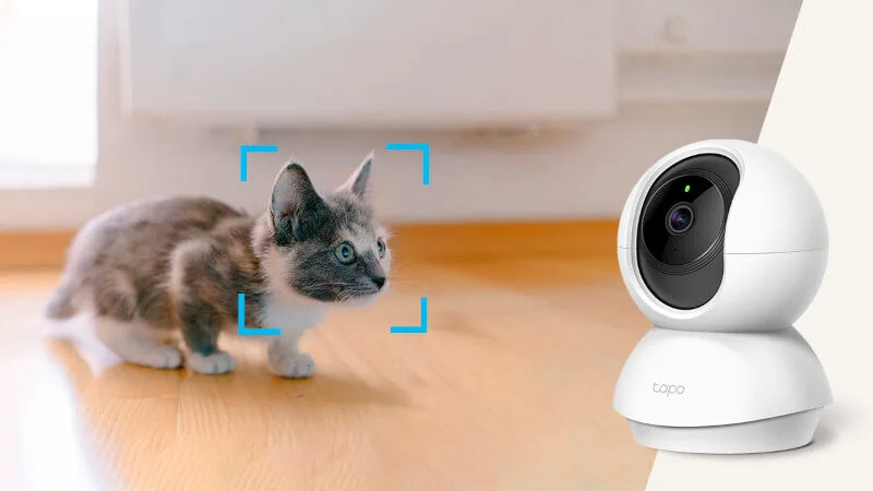 Chmurowy dostęp do kamer z TP-Link Tapo Care. Nowe funkcje i 30 dni zapisu nagrań