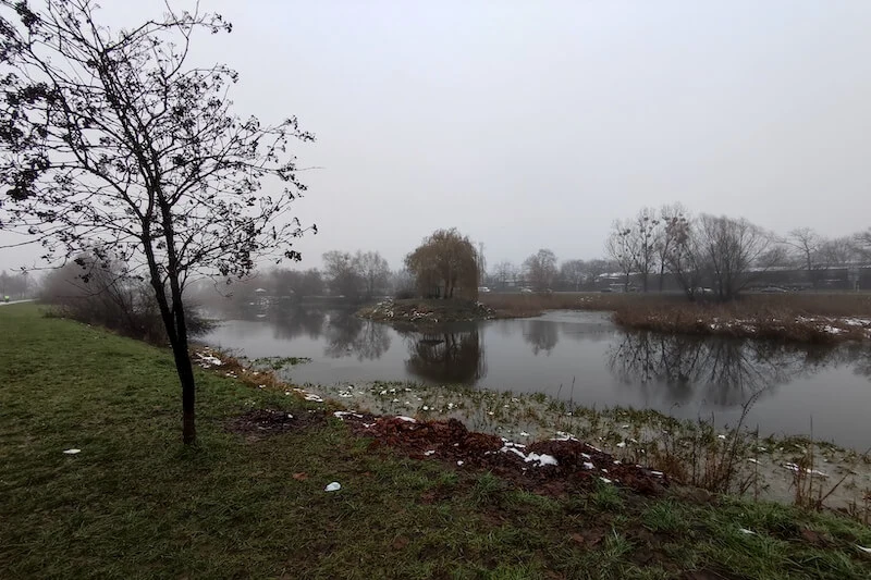 Xiaomi 11 Lite 5G NE