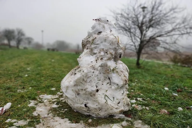 Xiaomi 11 Lite 5G NE