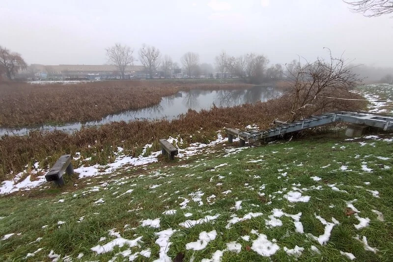 Xiaomi 11 Lite 5G NE