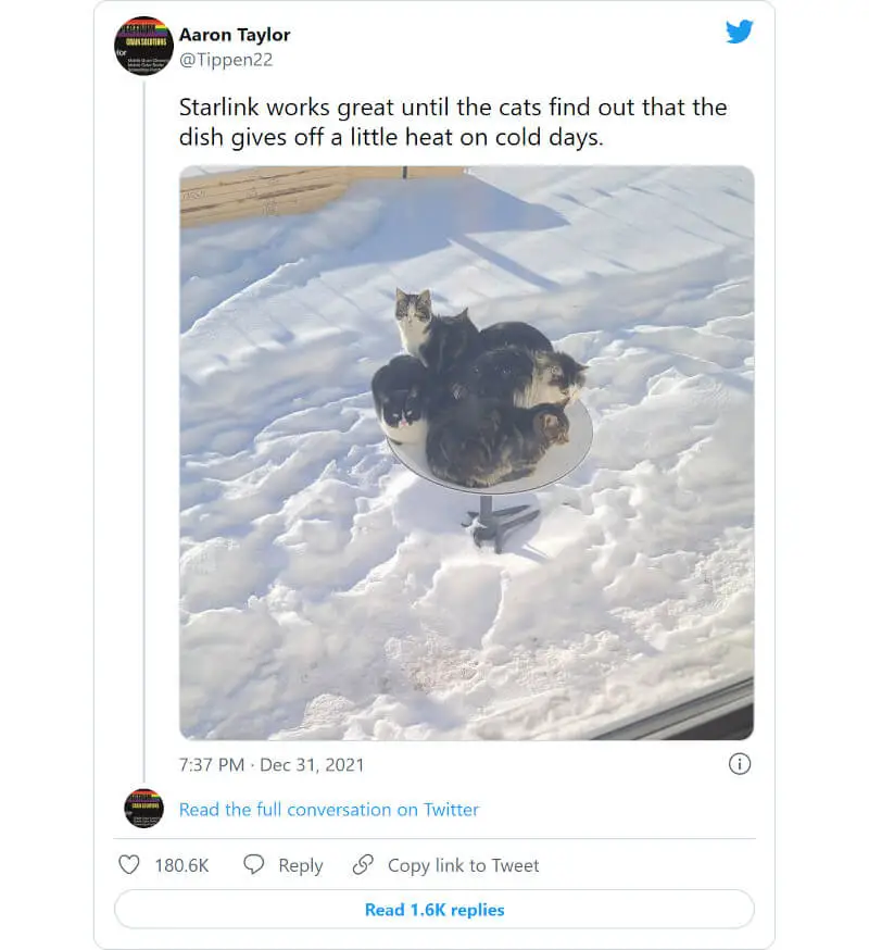 Koty uwielbiają Starlink. Anteny systemu Elona Muska idealnymi legowiskami