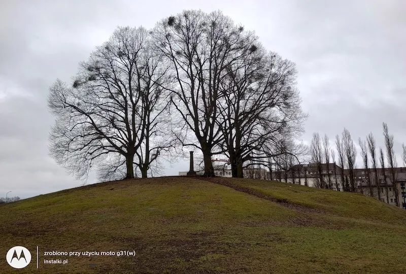 Test Motorola moto g31