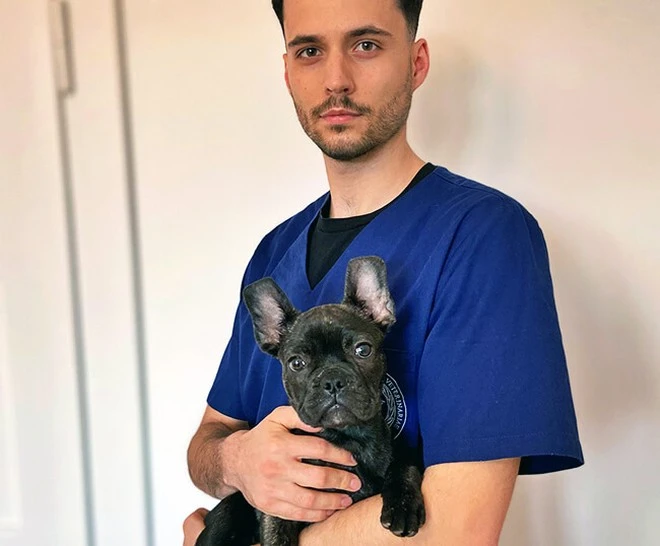 protezy 3d dla pieskow 3