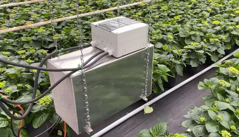 Koparki bitcoinów jako darmowe ogrzewanie szklarni dla hodowcy kwiatów