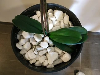 IMG 20180522 162159 mini