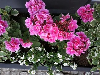 IMG 20180522 162308 mini