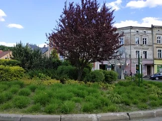 IMG 20180522 163030 mini