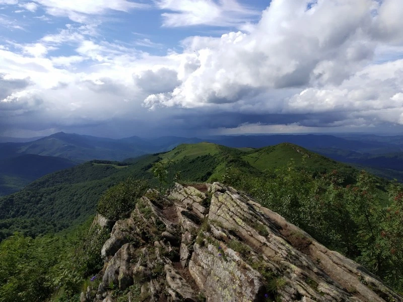 IMG 20180701 162414 HHT mini