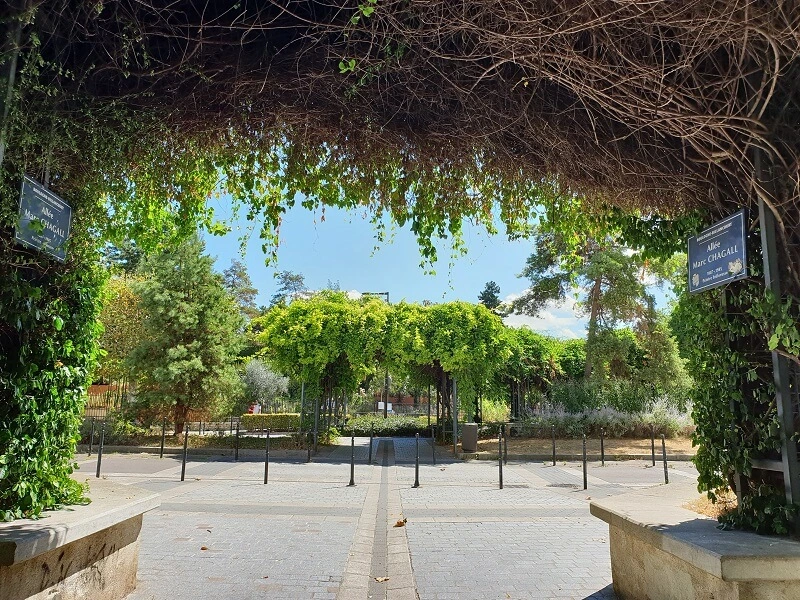 Vegetation SamsungGalaxyNote9 DxOMark 05-00