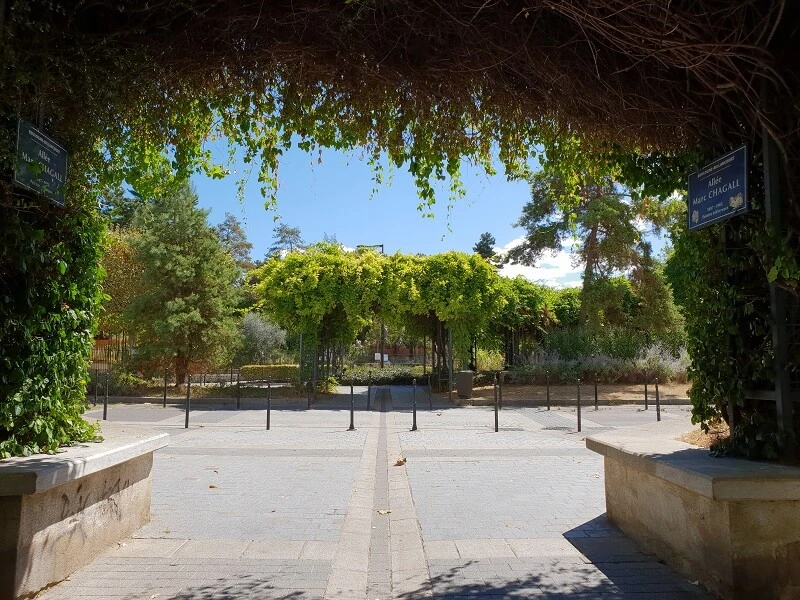 Vegetation SamsungGalaxyS9Plus DxOMark 05-00