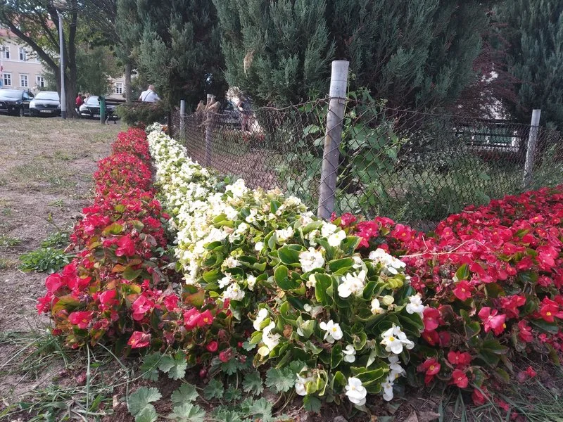 IMG 20180919 143318 male