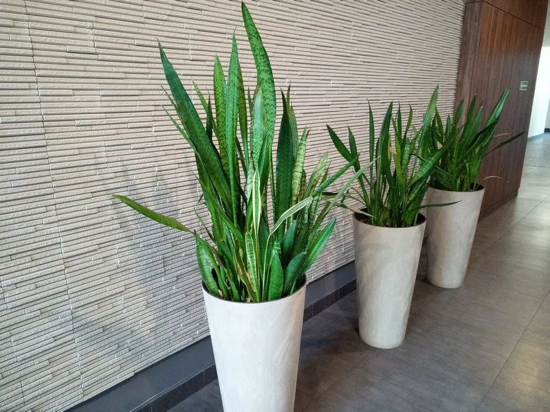 IMG 20190123 124440 1 mini