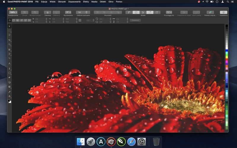 CorelDRAW Graphics Suite 2019 Mac