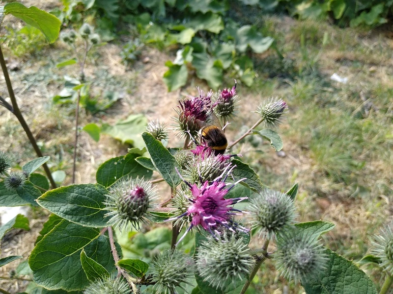 Moto G7 Power Sample Photo