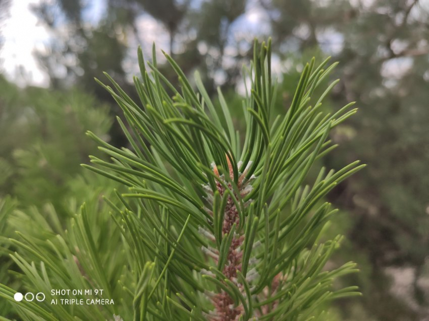 IMG 20190723 204328 mini