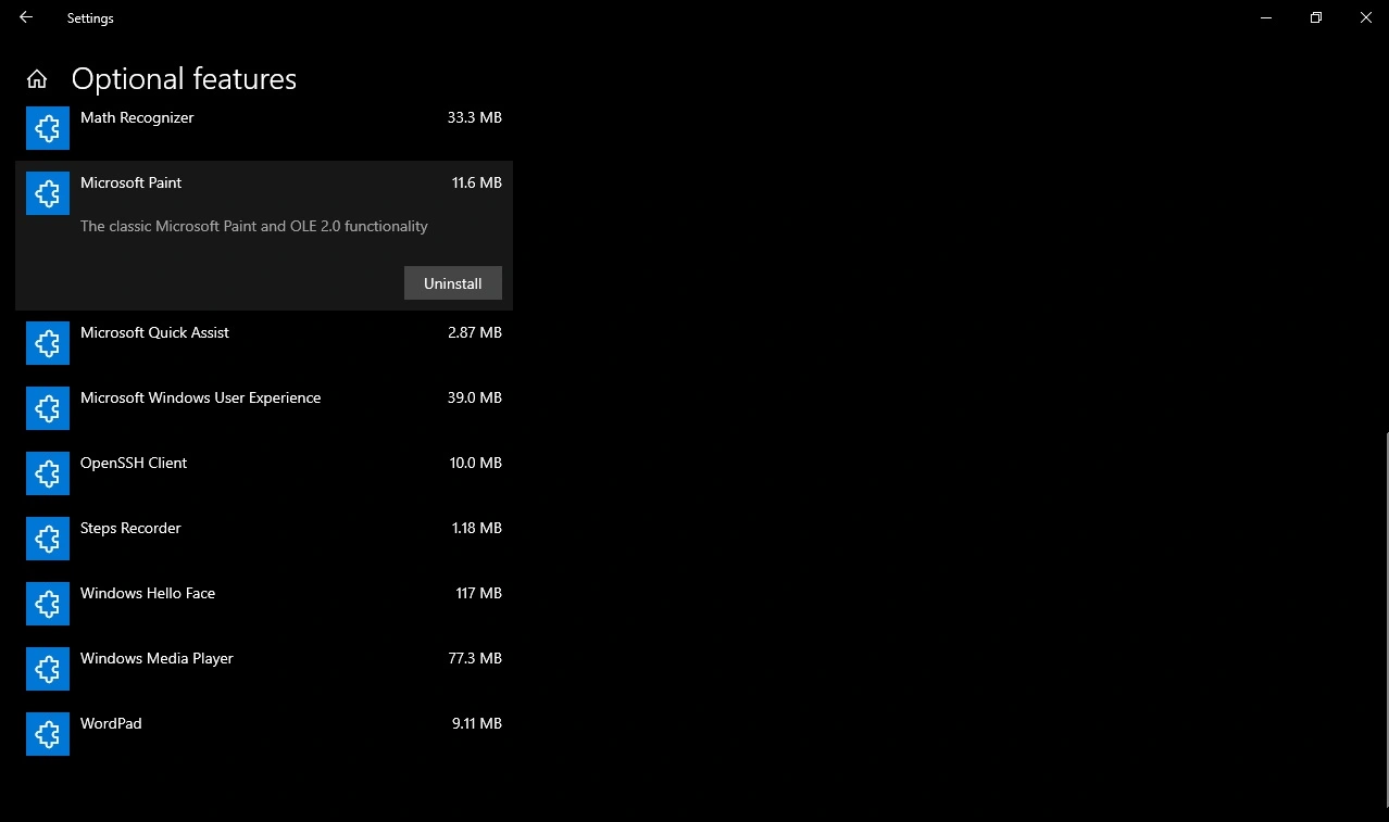 Paint-optional-feature-1