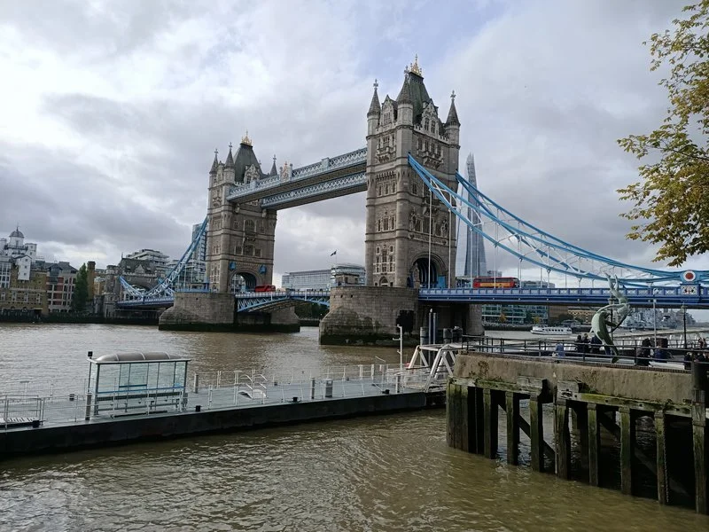 IMG20191016132219 mini