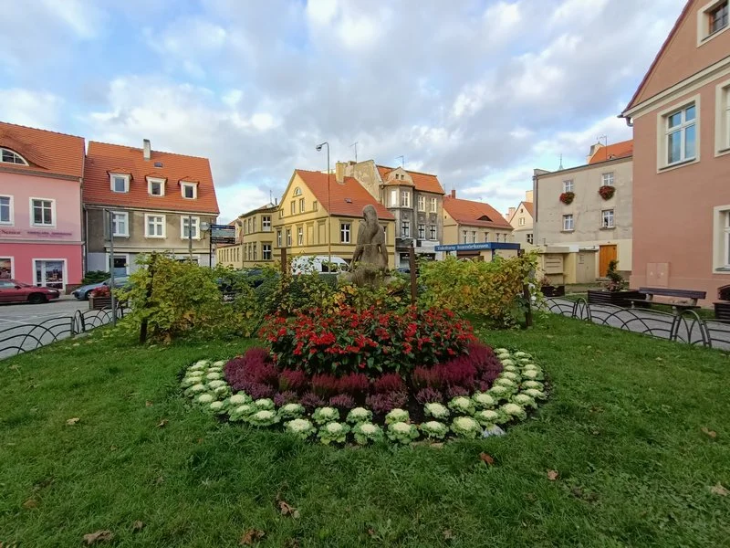 IMG20191028151647 mini