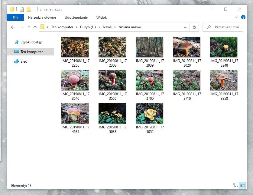 Zmiana nazw wielu plikow Windows 1