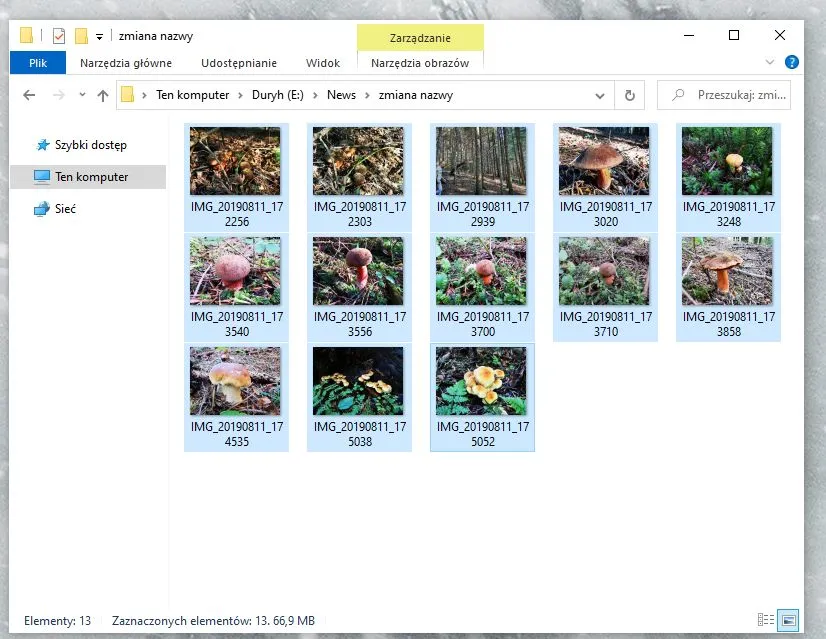 Zmiana nazw wielu plikow Windows 2