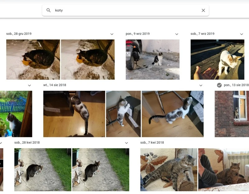 sztuczna inteligencja wyszukuje twarze