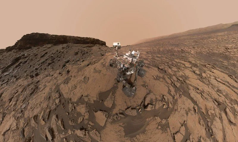 curiosity selfie