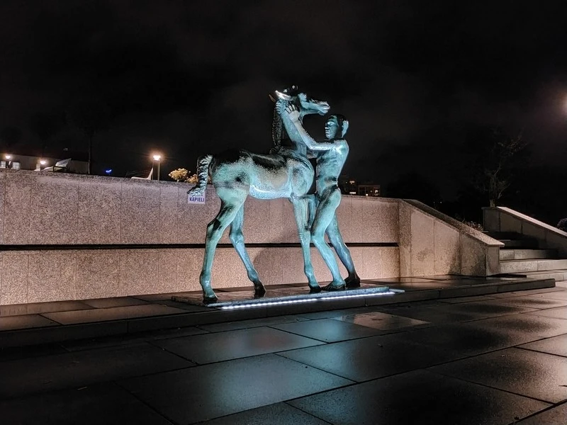 Oppo A9 2020 sample mini 8