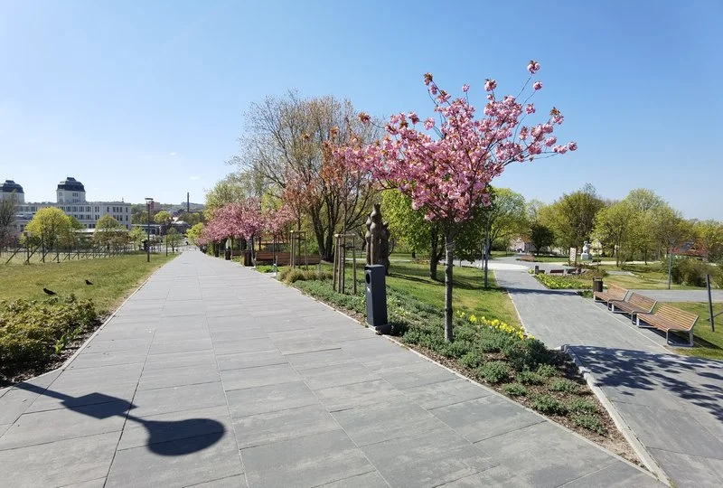 IMG 20200420 131248 mini