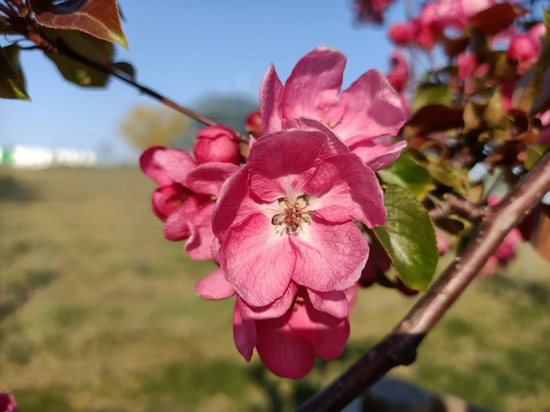 IMG20200422174602 mini